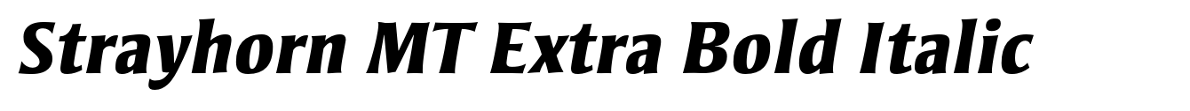 Strayhorn MT Extra Bold Italic